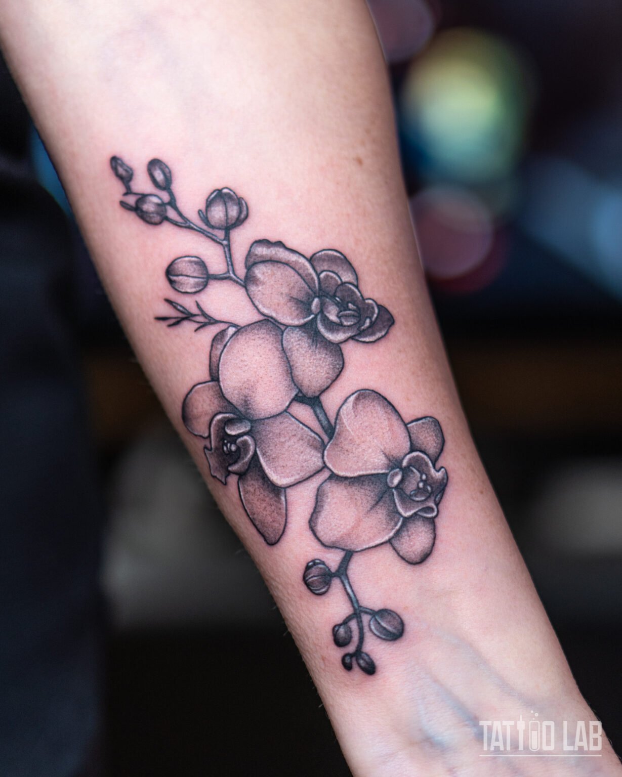 Black and grey orchid branch tattoo on the forearm with soft stipple shading and small buds, Tattoo Lab, Halifax