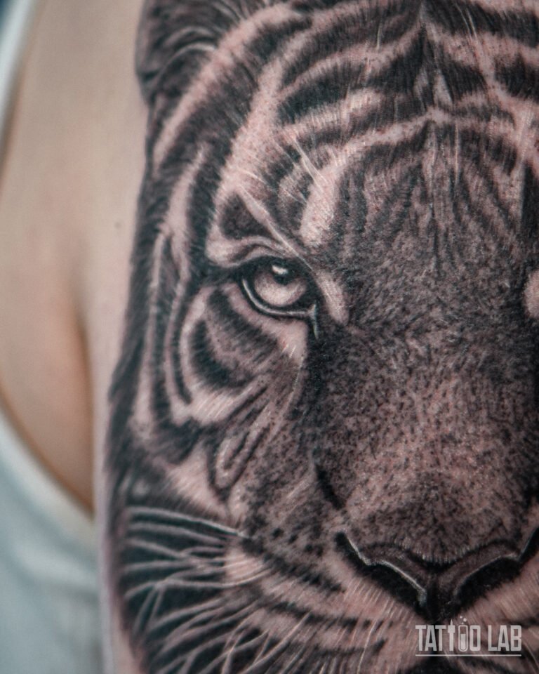 Close-up of a black and grey realism tiger tattoo showing detailed eye and fur texture