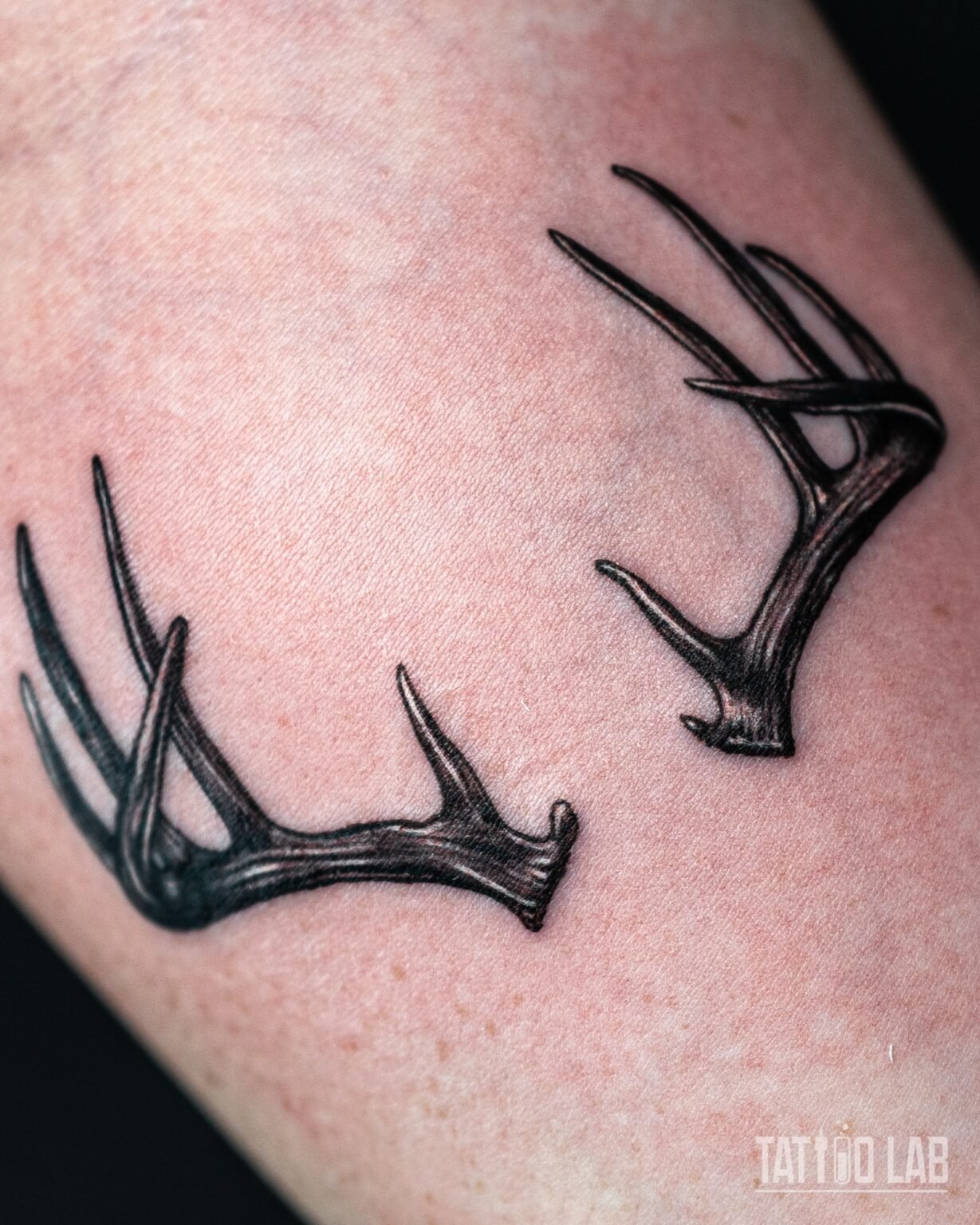 Pair of deer antler tattoos facing each other in black and grey realism with fine bone texture and highlights, Tattoo Lab, Halifax