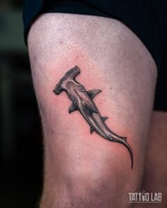 Hammerhead shark tattoo in black and grey realism on the thigh above the knee, seen from above