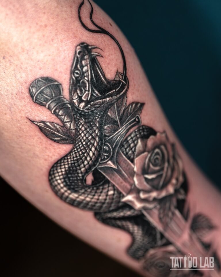 Angled close-up of a black and grey snake head with open jaws and fangs coiled around a dagger