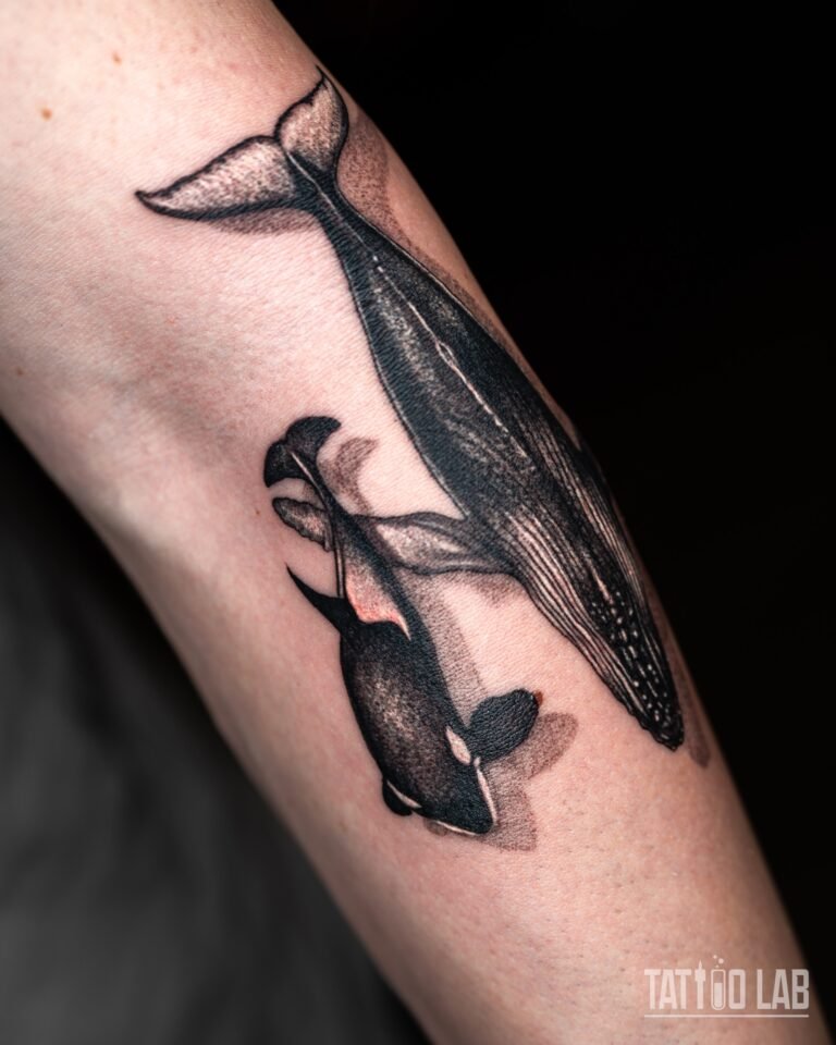 Blackwork tattoo of a diving humpback whale and an orca with stippled shading and soft shadows on the forearm