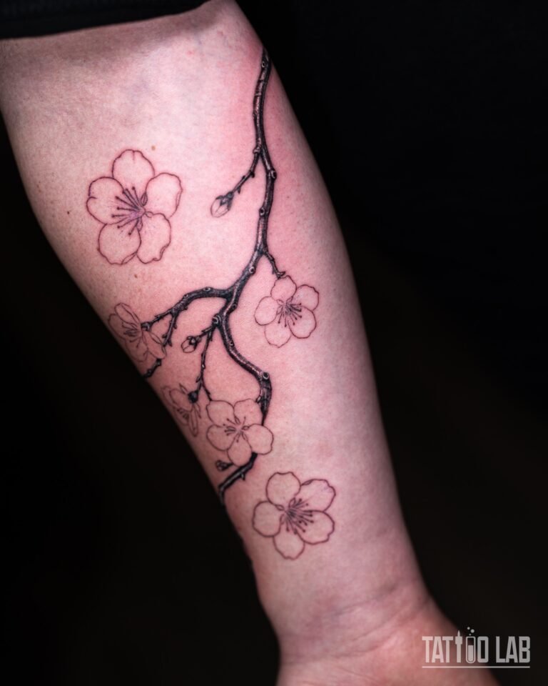Cherry blossom branch tattoo at the outline stage, with a shaded branch and flower outlines before colour on the forearm