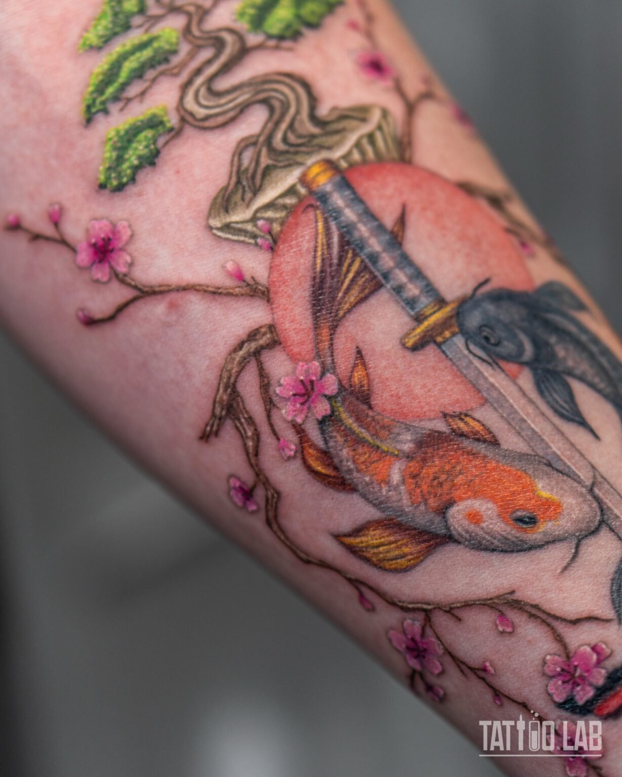 Colour Japanese forearm tattoo with a bonsai tree over a red sun, a katana, an orange koi, a black koi and cherry blossoms, Tattoo Lab, Halifax