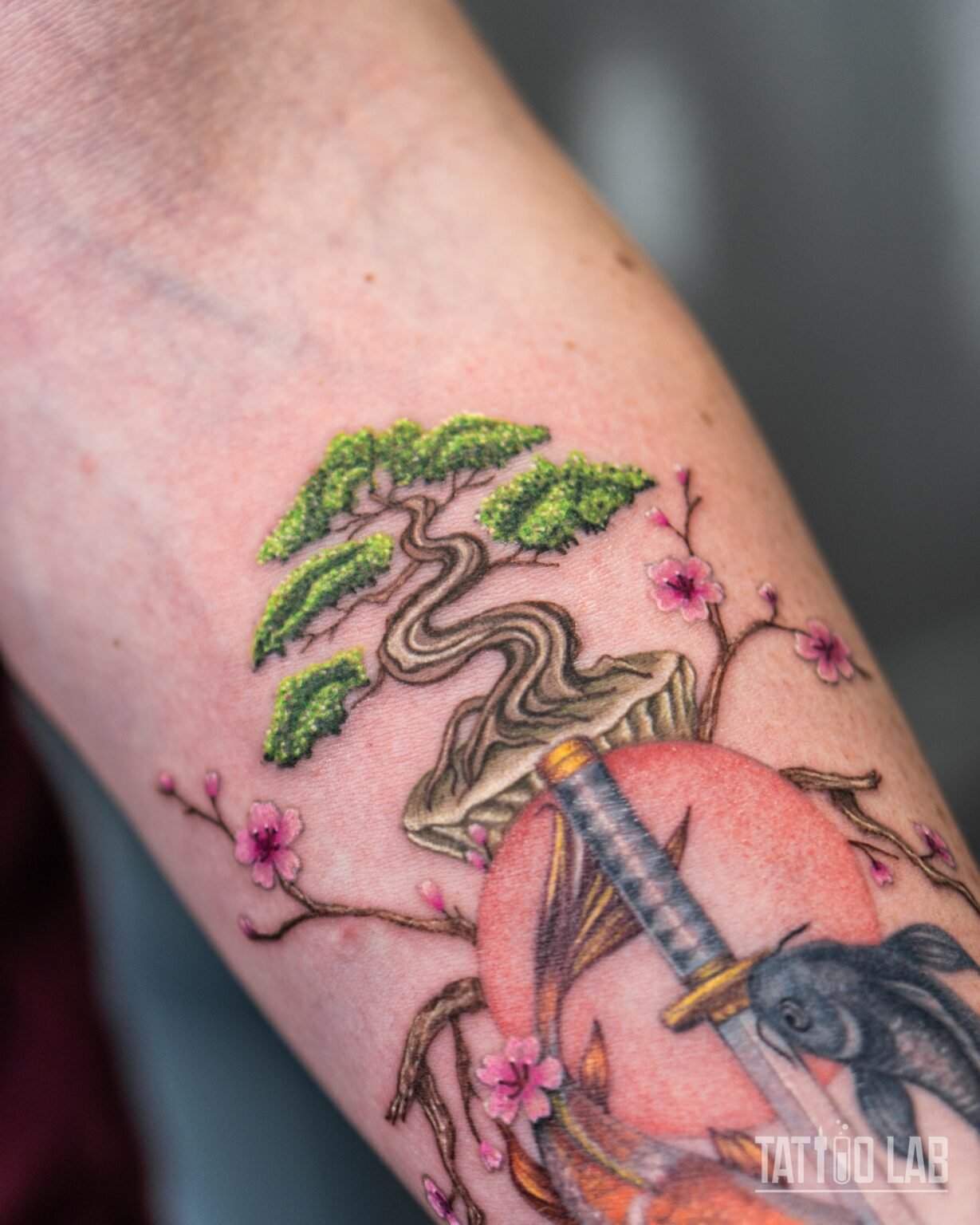 Close-up of the koi and katana forearm sleeve: the bonsai over the red sun, the katana hilt and cherry blossoms, Tattoo Lab, Halifax