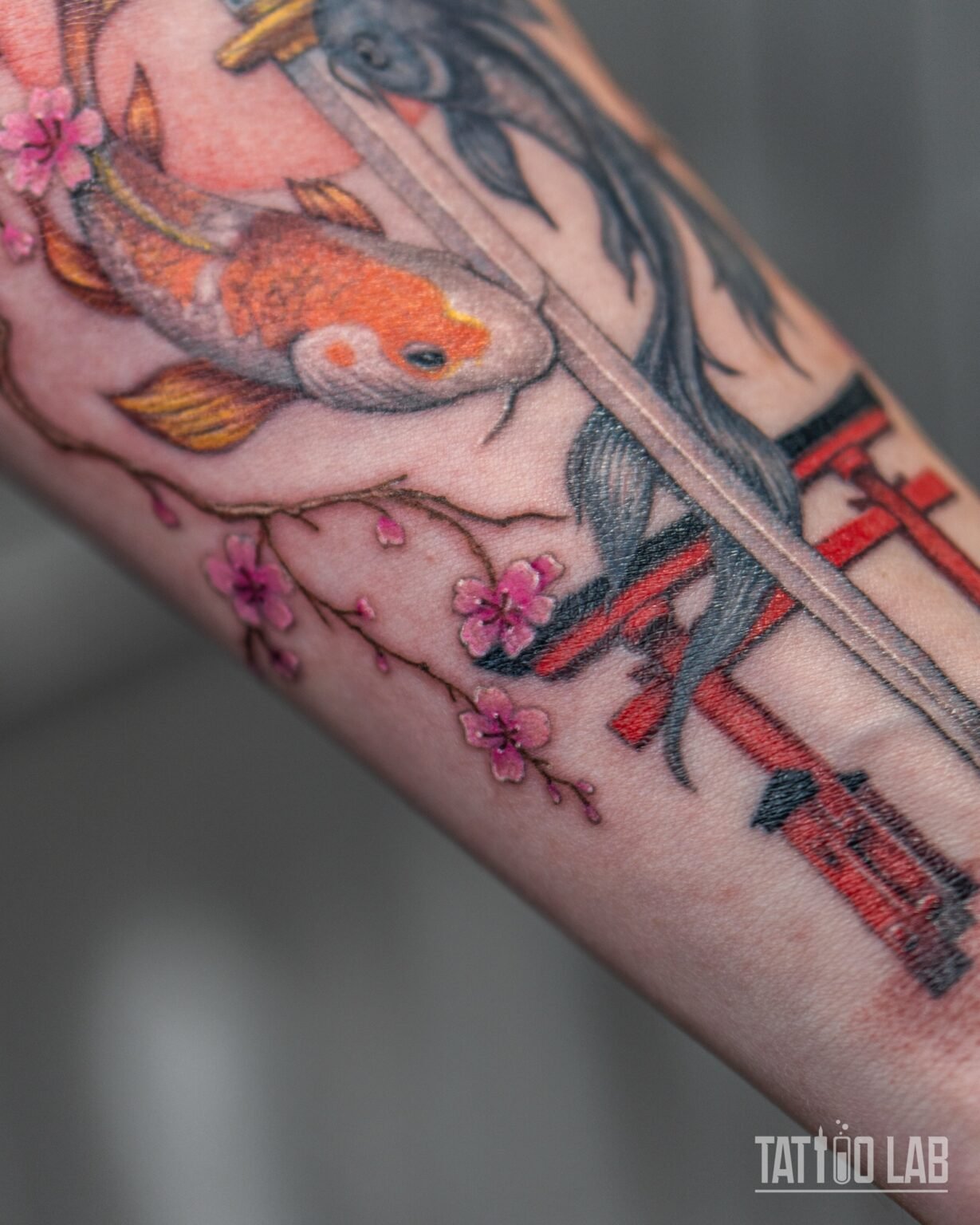 Close-up of the orange koi beside the katana blade, with cherry blossoms and the red torii gate on the forearm, Tattoo Lab, Halifax