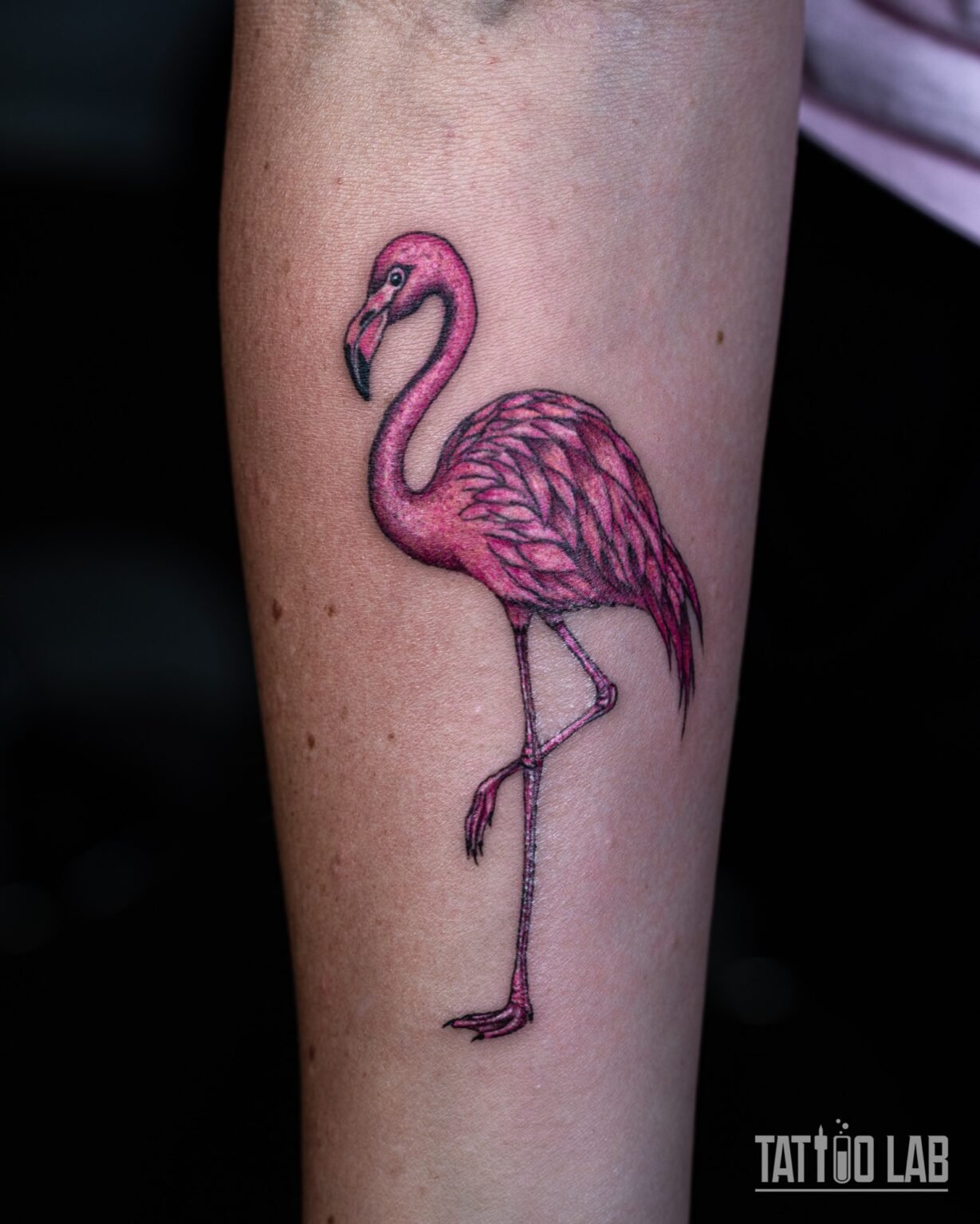 Pink flamingo tattoo in colour with fine black feather outlines, standing on one leg on the forearm, Tattoo Lab, Halifax