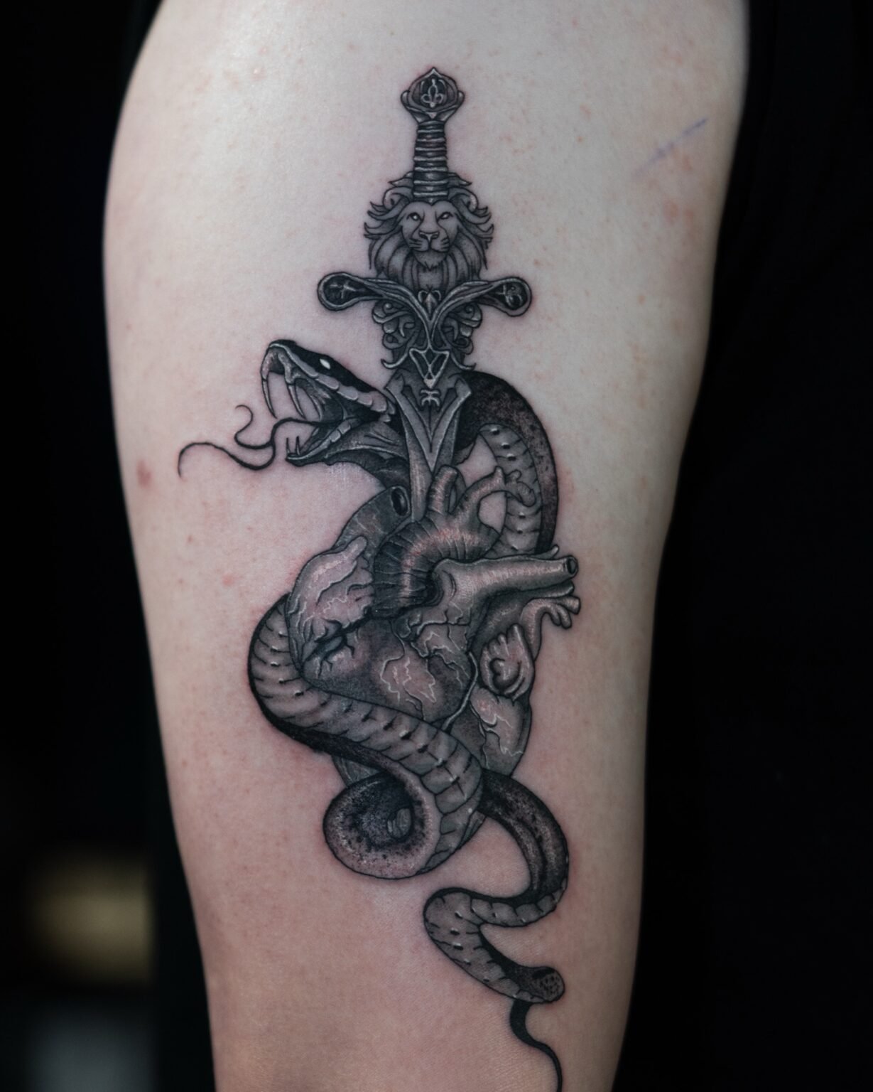 Black and grey cover-up tattoo of a snake coiled around an anatomical heart pierced by an ornate dagger, on the upper arm, Tattoo Lab, Halifax