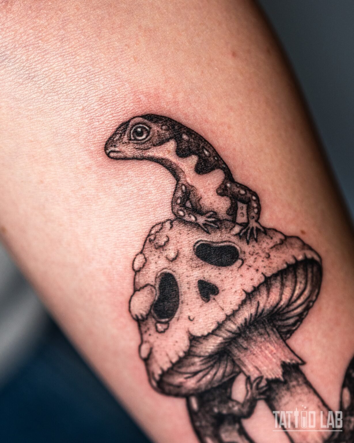 Close-up of a fine line salamander tattoo perched on a spotted mushroom cap, with dotwork shading, on the forearm, Tattoo Lab, Halifax